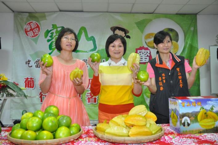 又大又綠的橘子不會酸溜溜 寶山鄉新興作物葡萄蜜柚甜美多汁 共8張圖片