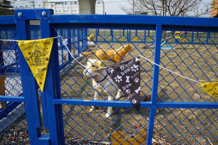 竹縣首座寵物運動公園   3月4日 在竹東河濱公園啟用