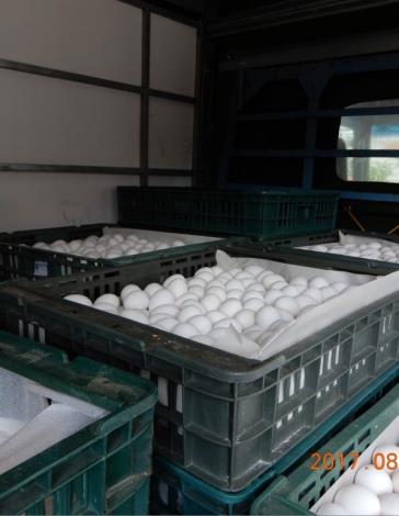 檢出芬普尼超標蛋品 新竹縣衛生局立即完成下架