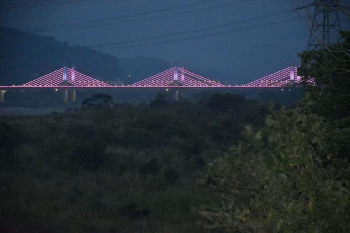竹東地區最佳賞鳥地點　暮春三月生態公園河岸白鷺鷥群聚