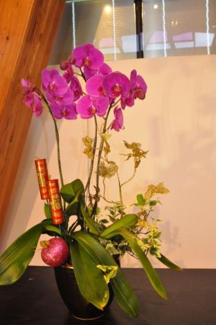 塑造新年美麗的焦點　蘭花文藝組合DIY活動百餘人參與 共6張圖片