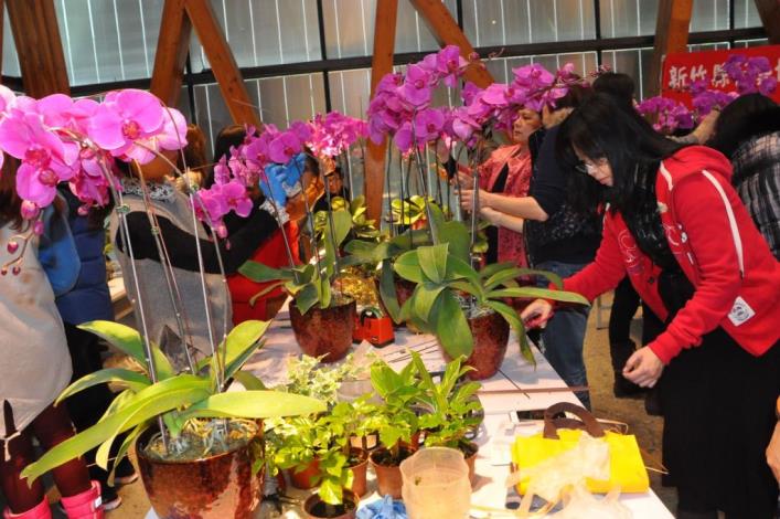 塑造新年美麗的焦點　蘭花文藝組合DIY活動百餘人參與