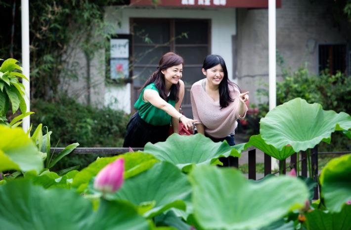 新瓦屋生態池荷花綻放，一同來賞荷! 共2張圖片 的圖片