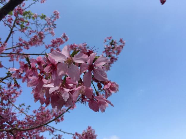　 的圖片