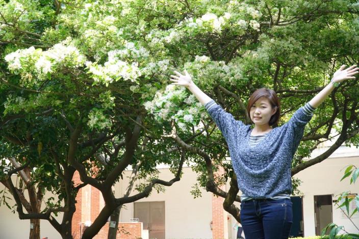 流蘇樹白了頭宣告百花爭妍季節來到 共7張圖片