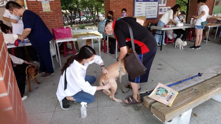 響應世界狂犬病日 竹縣雙十寵物免費打疫苗及登記