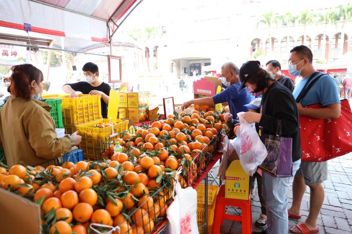 民眾在活動現場選購橘子