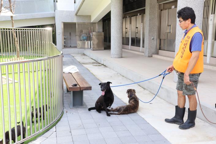 官網0B5A1733新竹縣動物保護防疫所志工的服務項目之一，需要協助牽狗狗到戶外散步