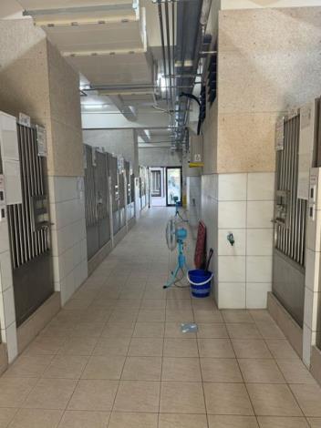 官網-新竹縣動保所收容環境與設施維持良好。