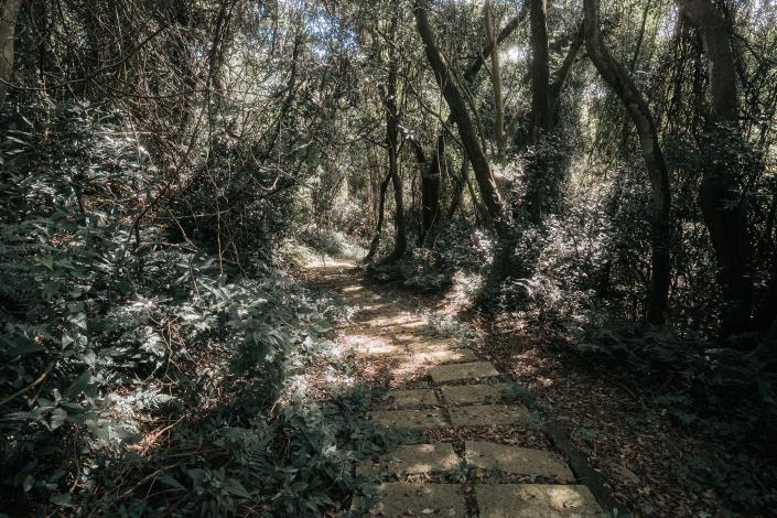 新埔三段崎古道為百年石階古道，古樸雅緻。
