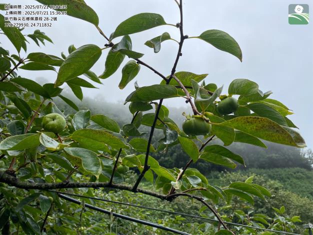 煤源段28-2地號_0 的圖片