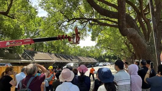 官網-新竹縣治行政區內辦理樹木修剪示範課程