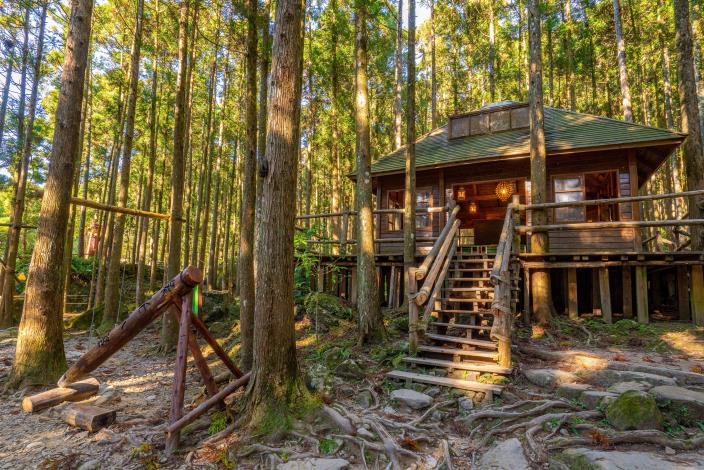 馬武督探索森林