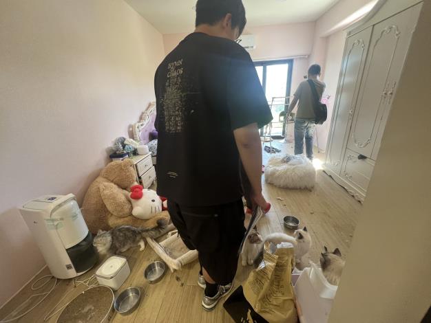 02現場貓隻成群歡境髒亂