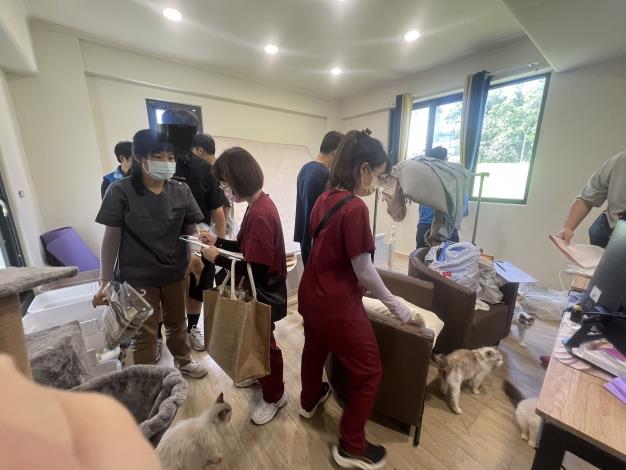 05進行貓隻晶片掃描清點扣留