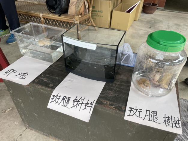 官網-於關西鎮公所舉辦「新竹縣農田龜類保育研習與生態服務給付說明會暨外來種斑腿樹蛙防治宣導」S__59801640_0 的圖片