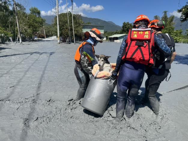消防局也於災區D區執行逐戶確認搜尋，順利救出3隻狗