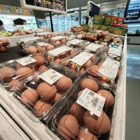 支持在地農村優質生鮮雞蛋計畫