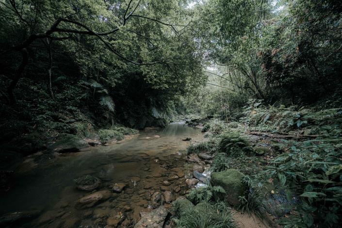 四寮溪生態步道