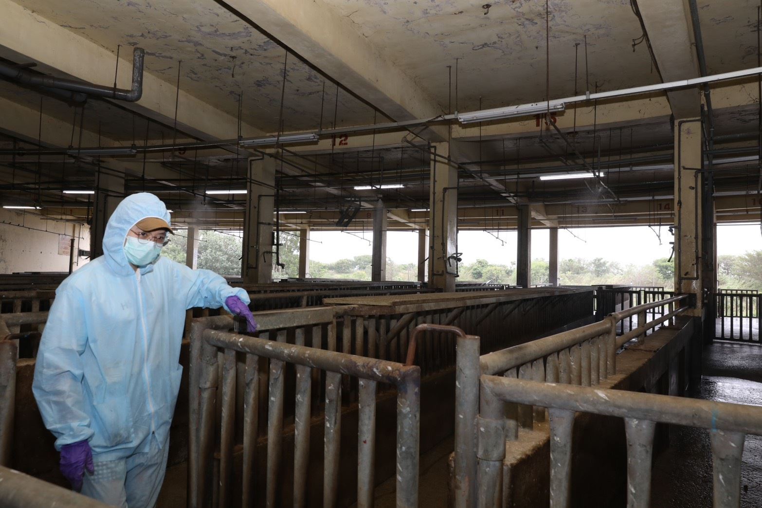 圖片來源:新竹縣政府