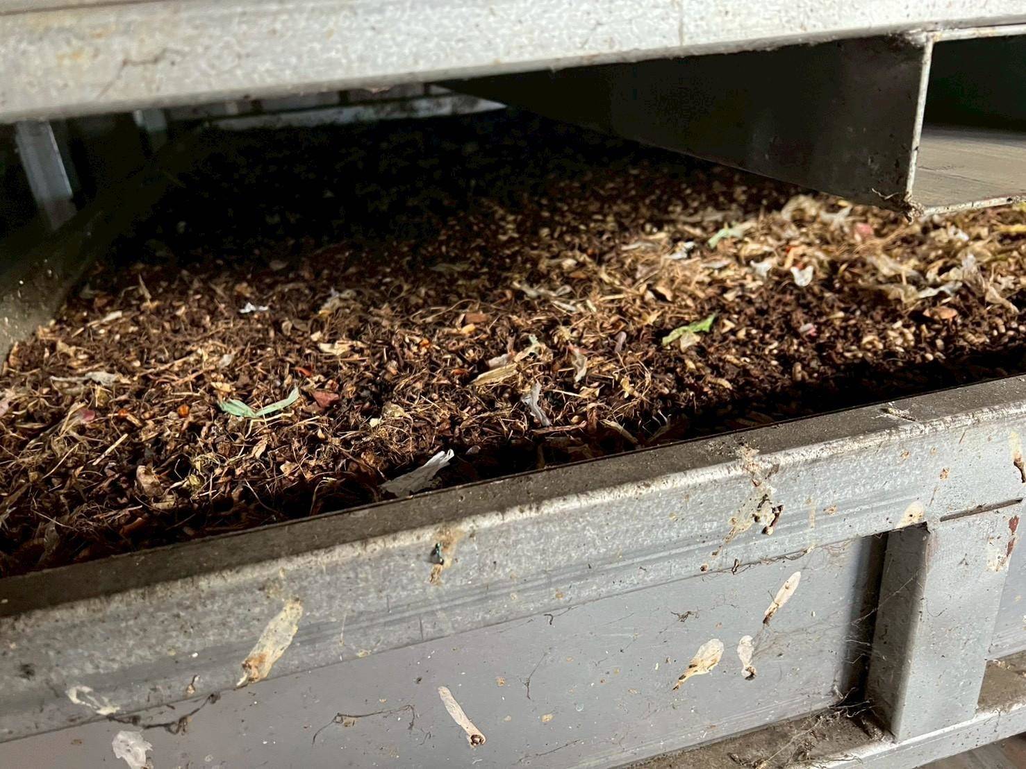 圖片來源：新竹縣政府