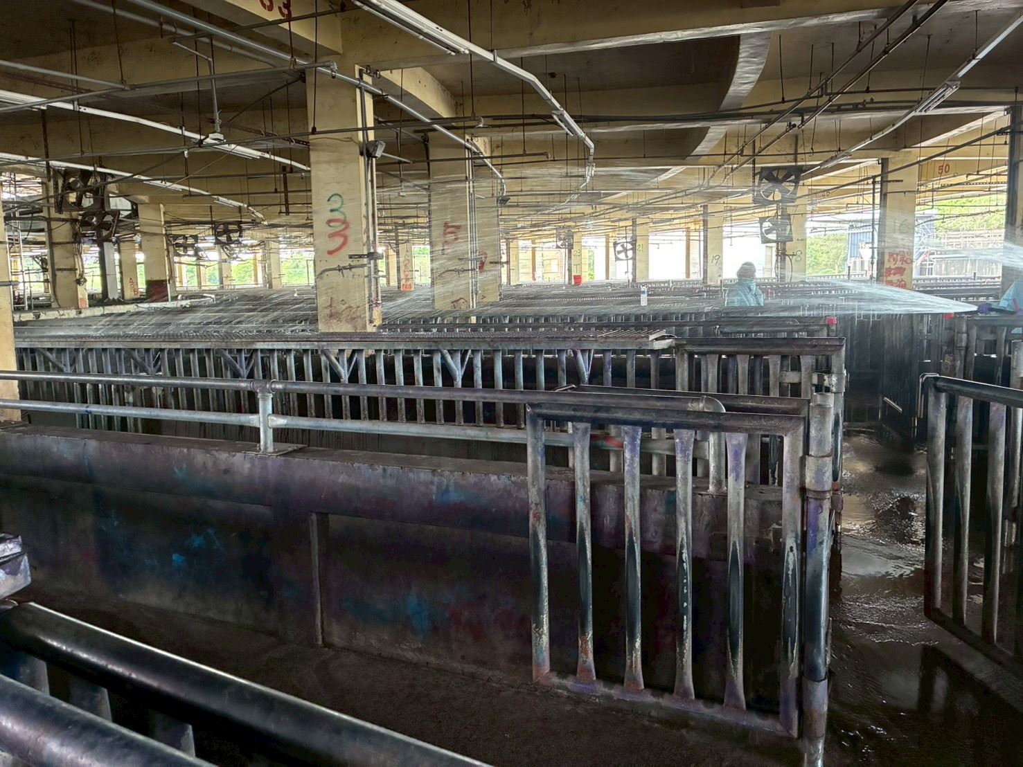 圖片來源：新竹縣政府