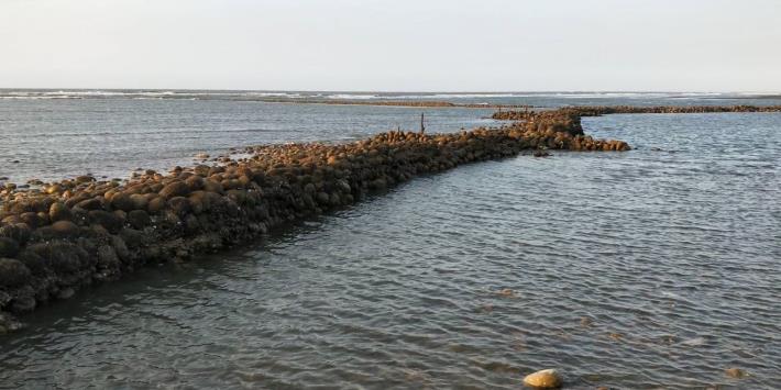 官網-新豐石滬約有百年歷史，為新竹縣唯一的漁業歷史地景。