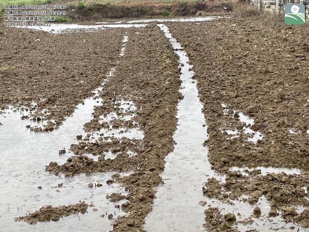 蕎麥災害照片 的圖片