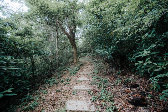 官網-石光古道-步道