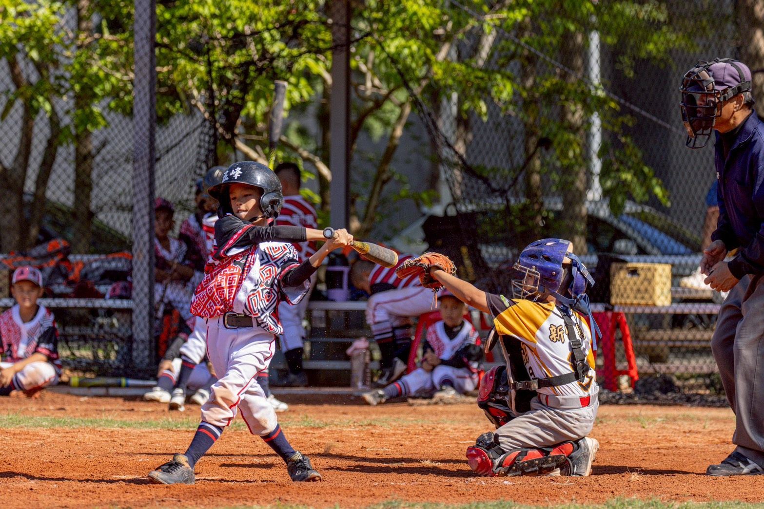 圖片來源：新竹縣政府