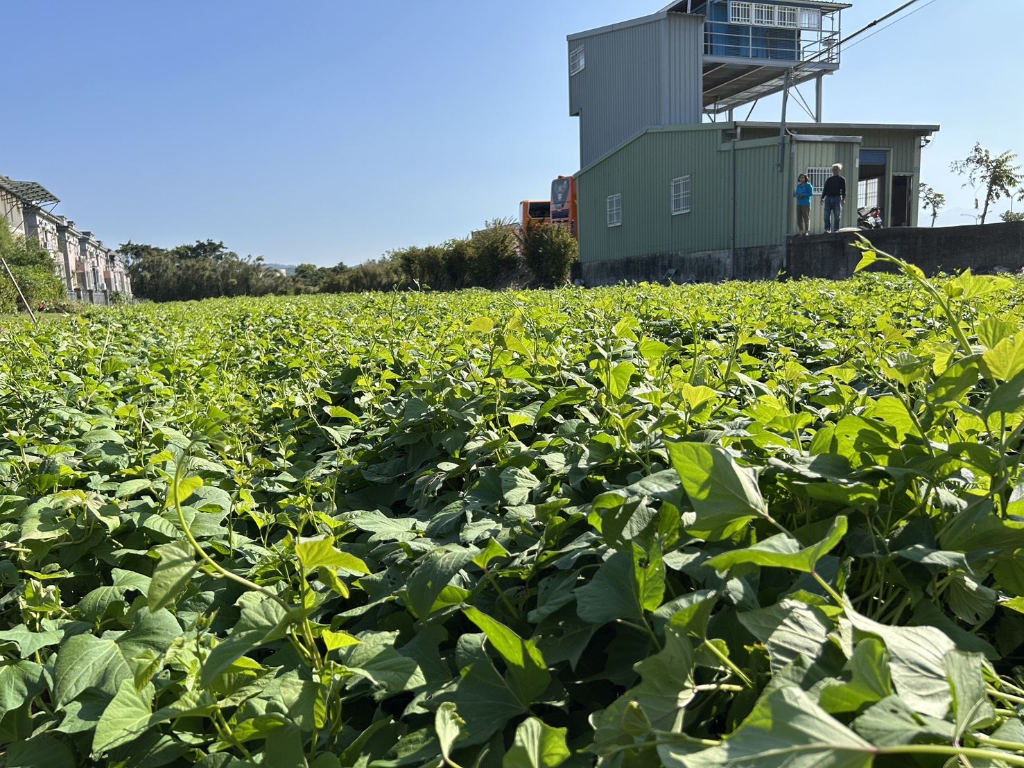 圖片來源：新竹縣政府