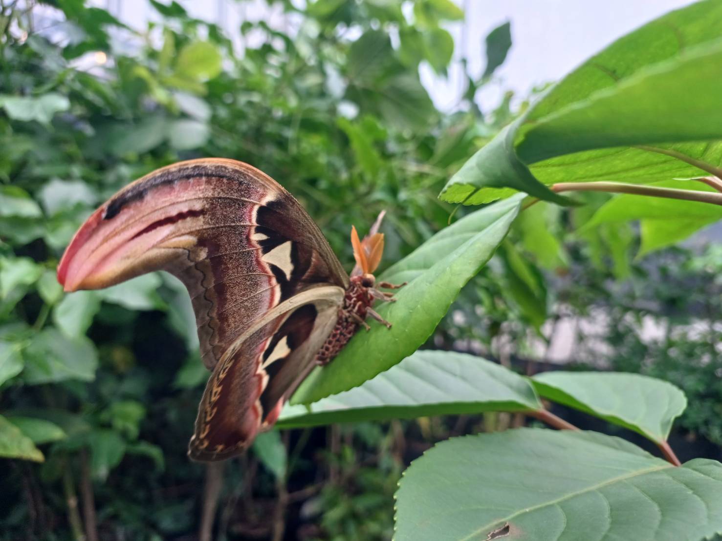 圖片來源:新竹縣政府