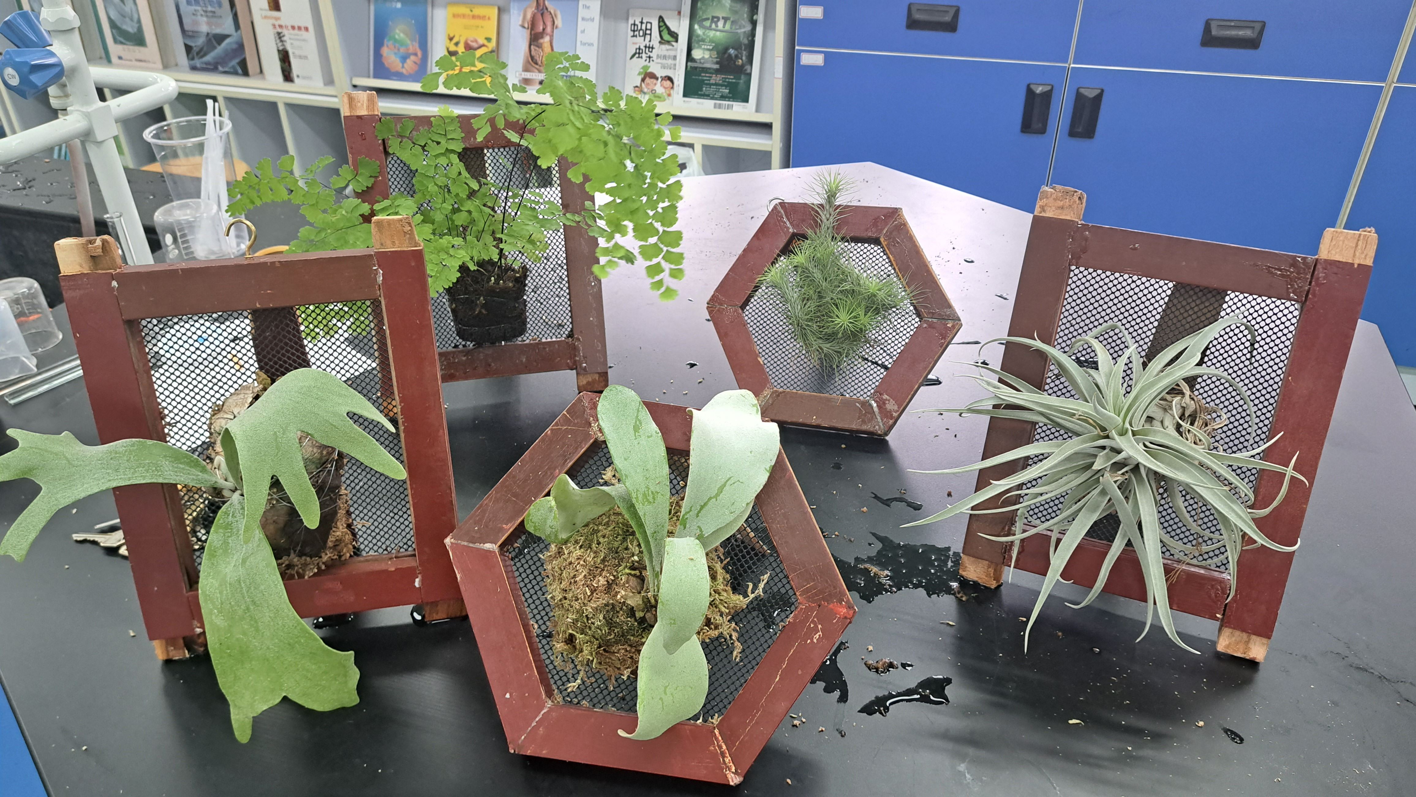 圖片來源:新竹縣政府