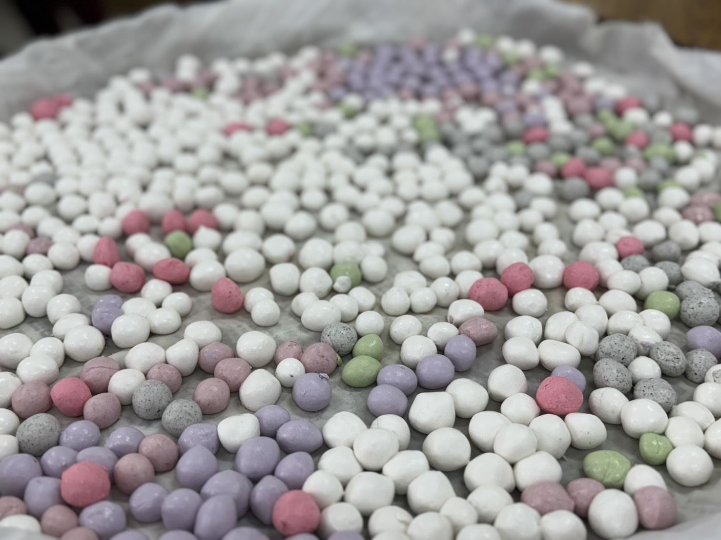 圖片來源：新竹縣政府