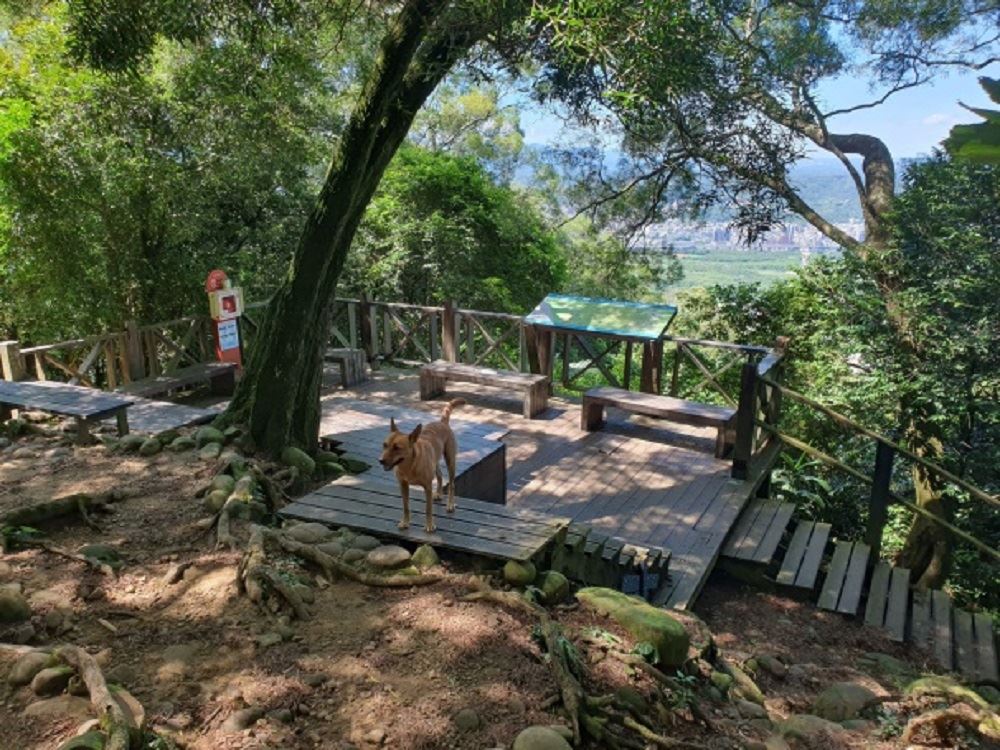 圖片來源：新竹縣政府