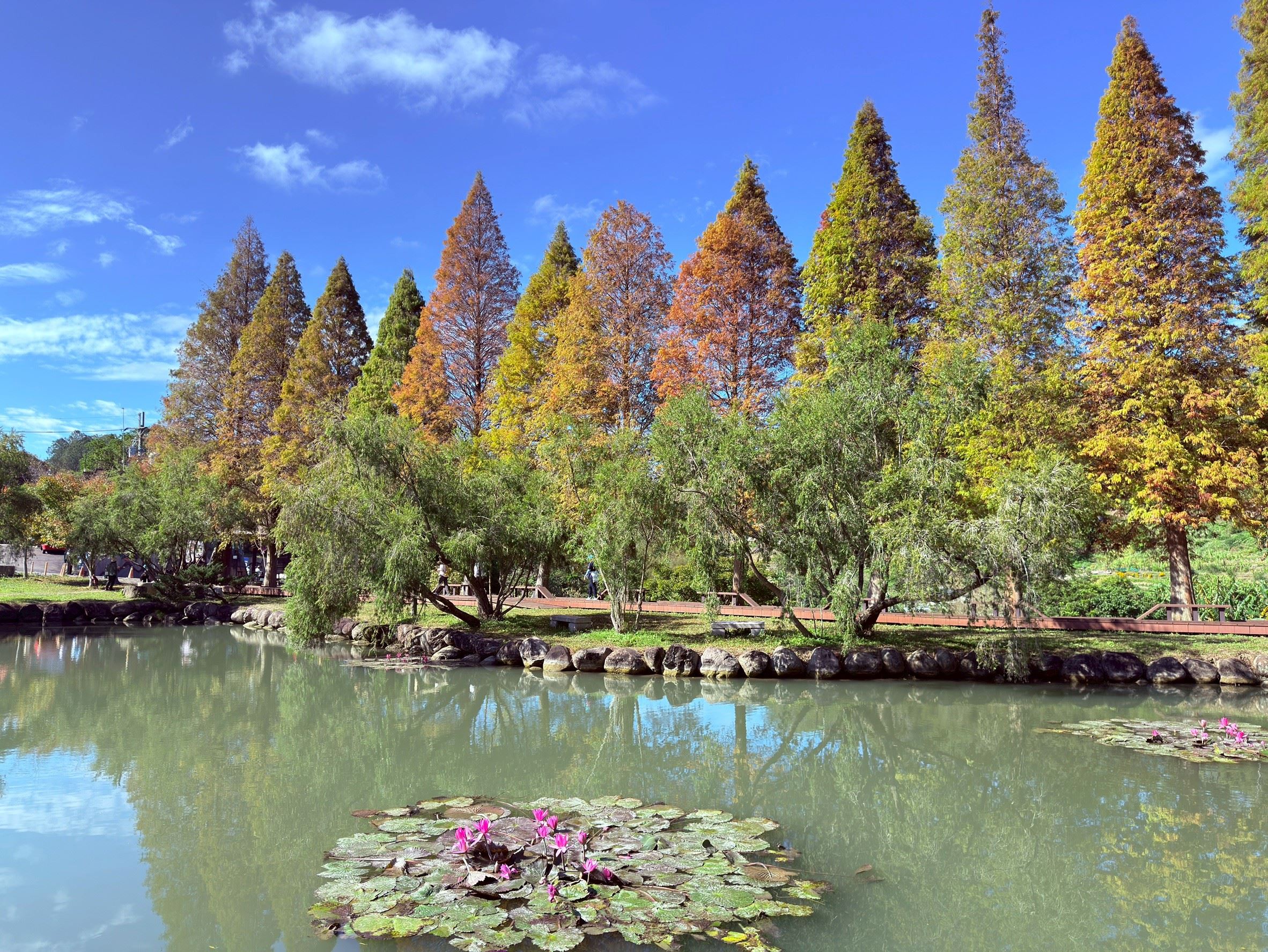 圖片來源：新竹縣政府