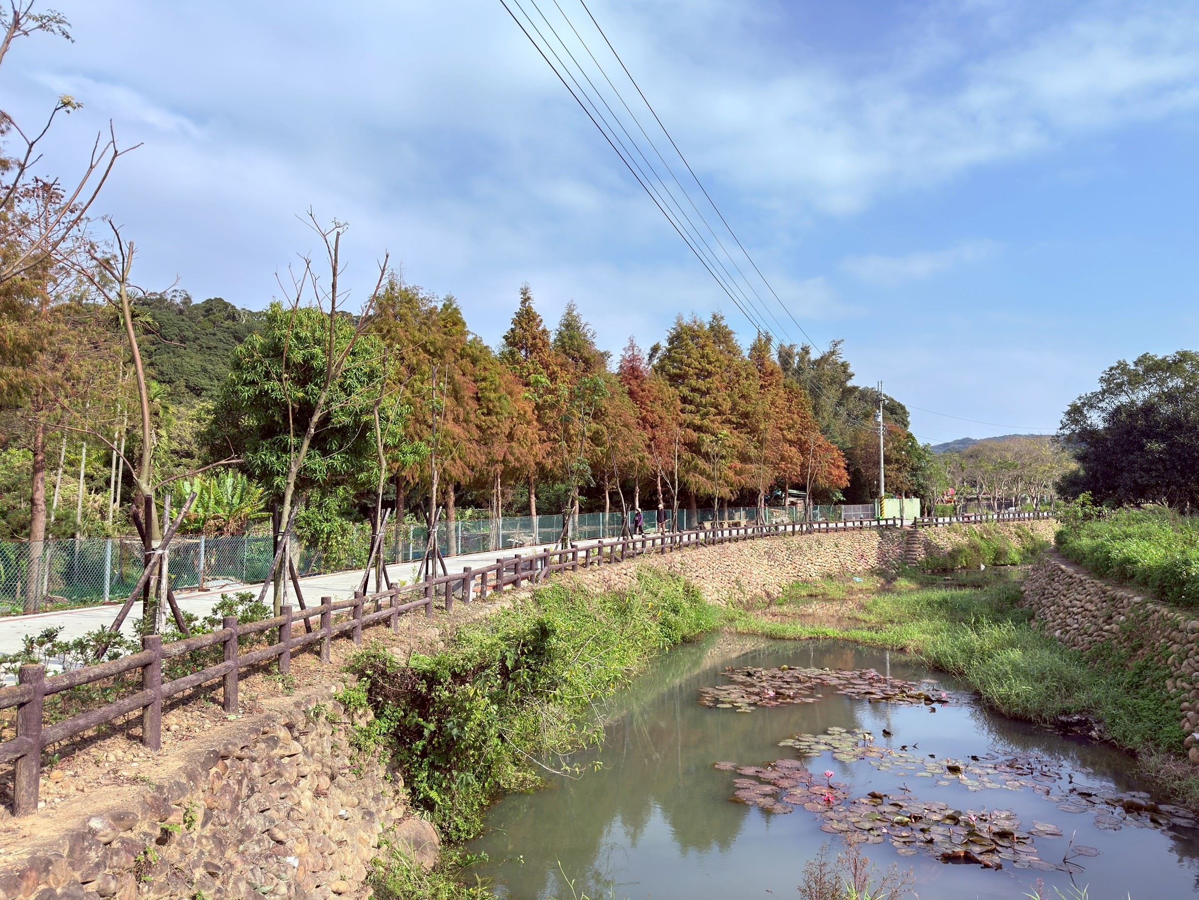 圖片來源：新竹縣政府