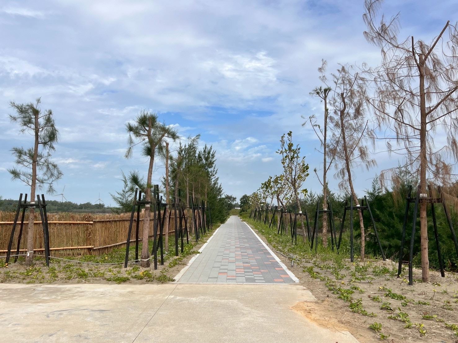 圖片來源：新竹縣政府