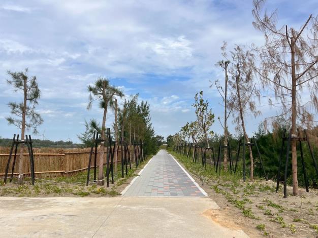 官網-鳳坑沙灣二期完工照，圖為定砂竹圍籬與步道。