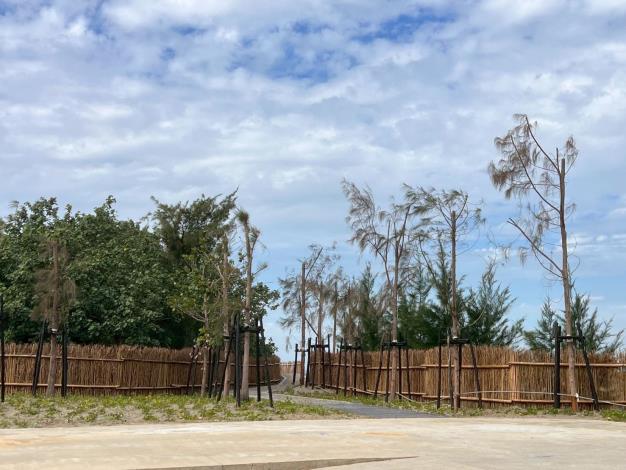 官網-鳳坑沙灣二期完工照，圖為定砂竹圍籬與步道。 (3)