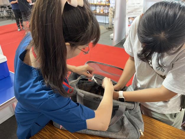 今年起貓隻強制寵物登記