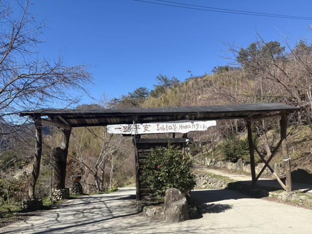 官網-司馬庫斯櫻花季實施交通總量管制 1月19日起開放申請通行證