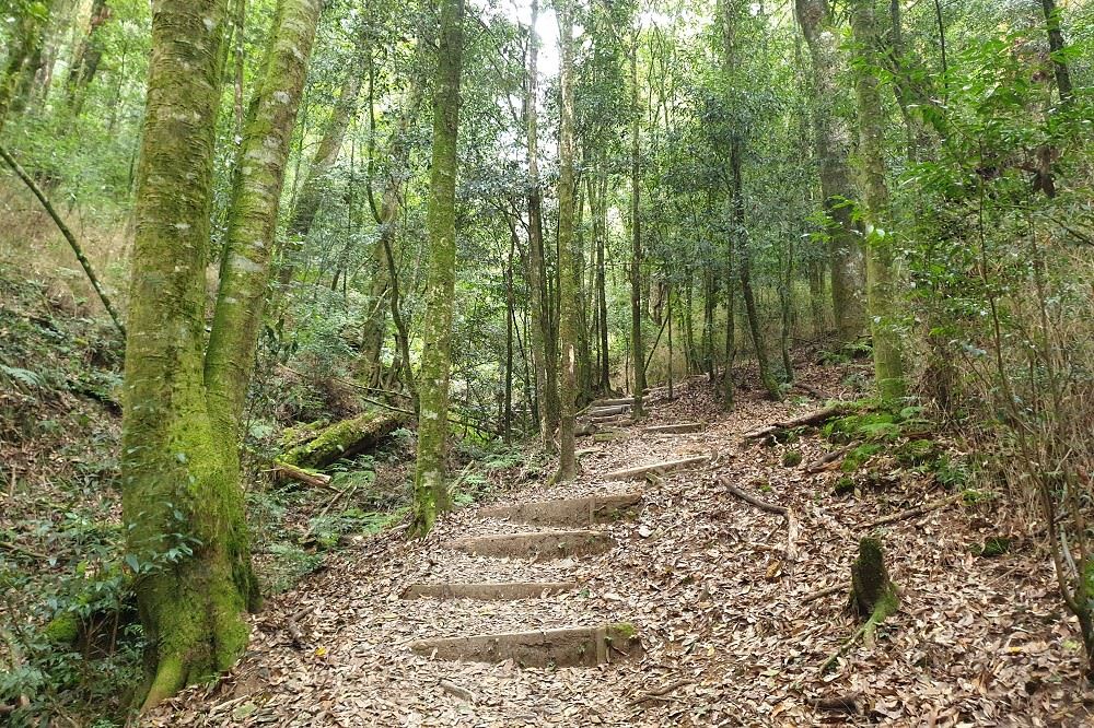 圖片來源：新竹縣政府