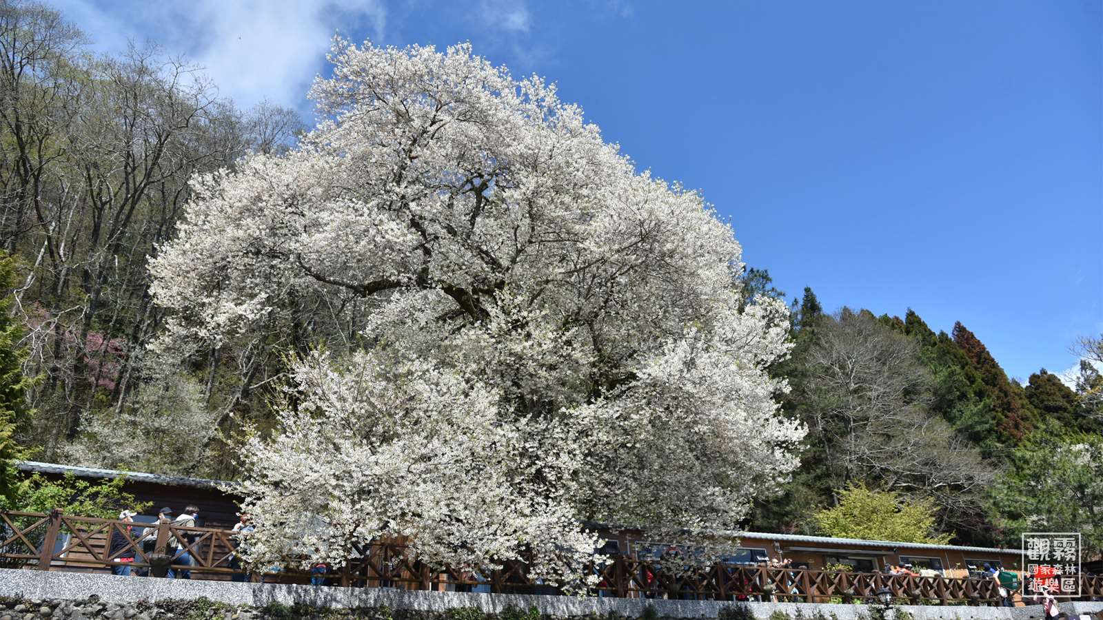 圖片來源：新竹縣政府