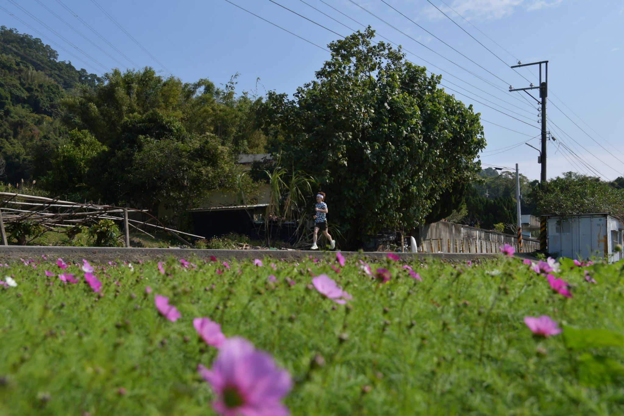 圖片來源：新竹縣政府
