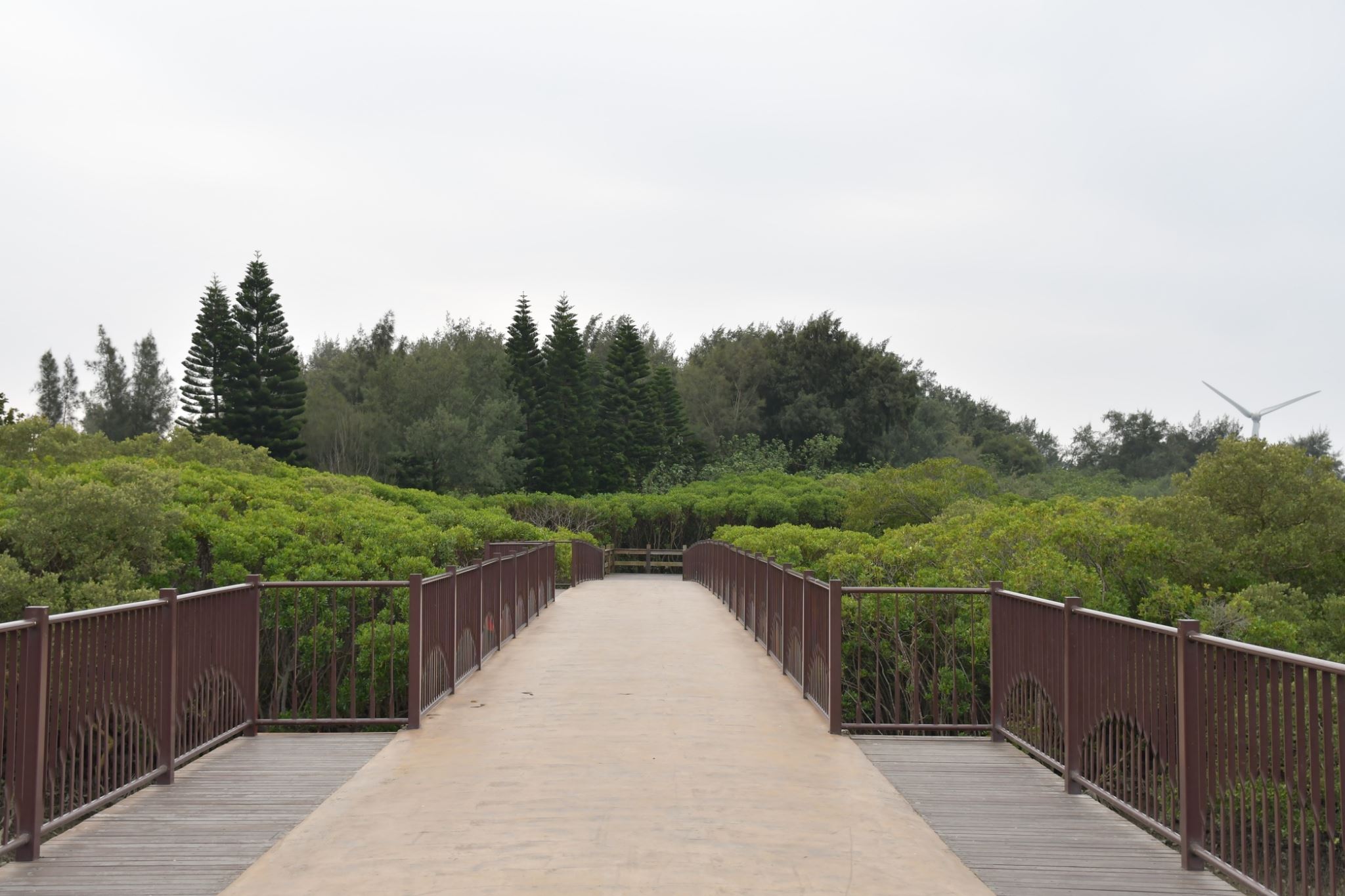 圖片來源：新竹縣政府