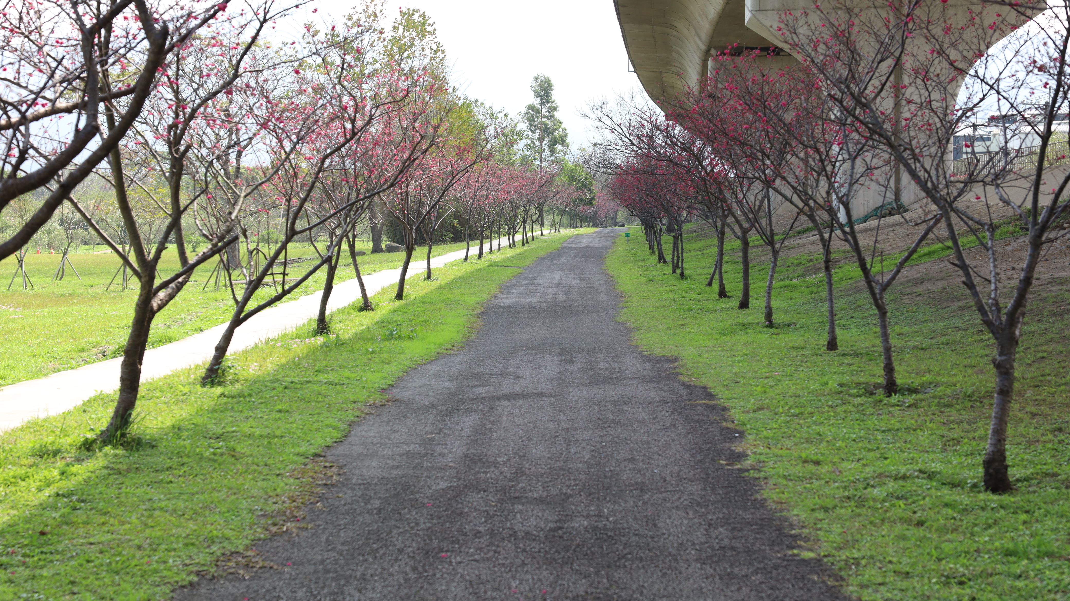圖片來源：新竹縣政府