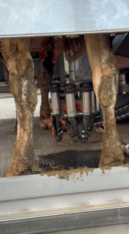 自動定位乳頭位置