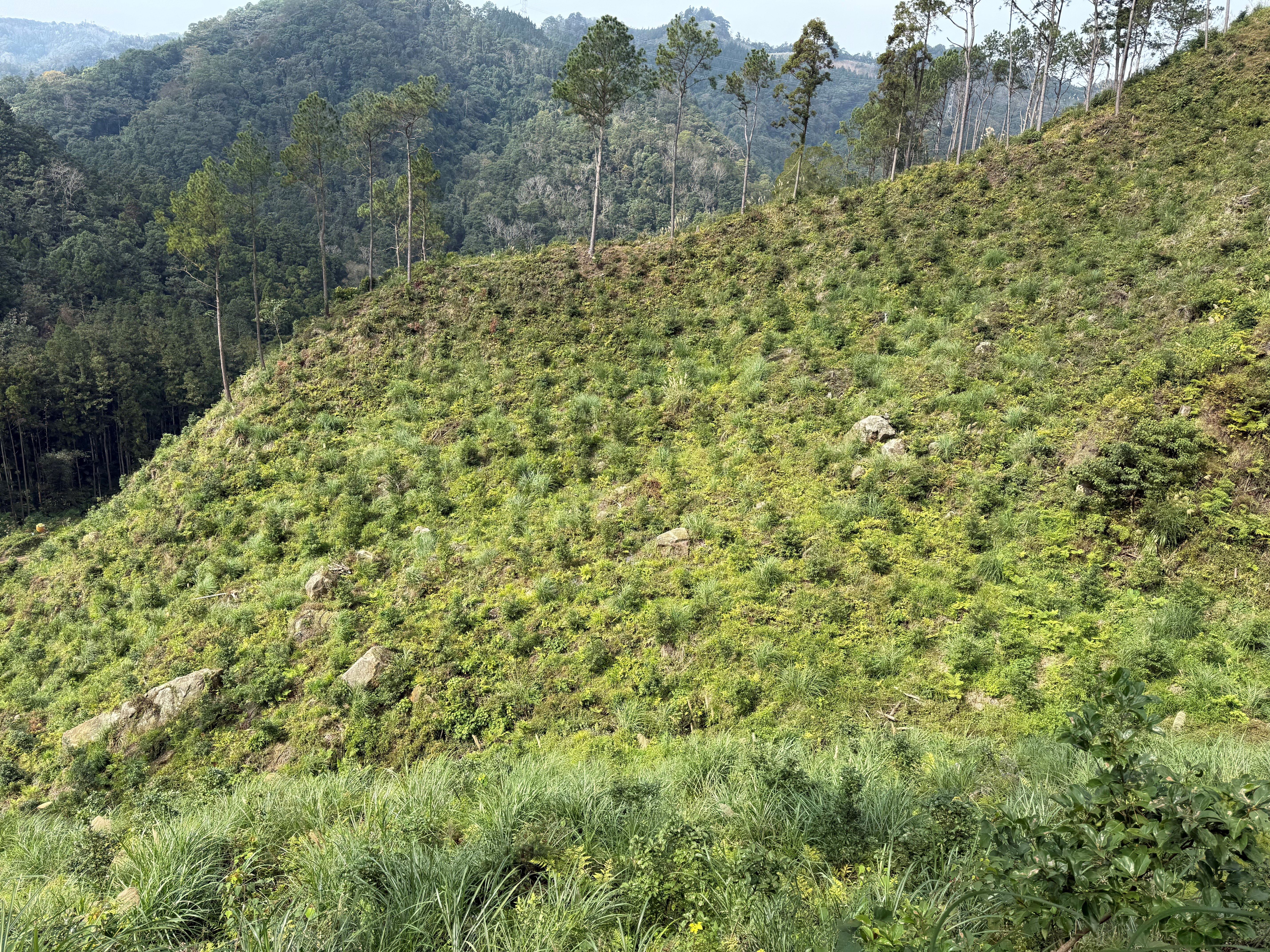 圖片來源：新竹縣政府