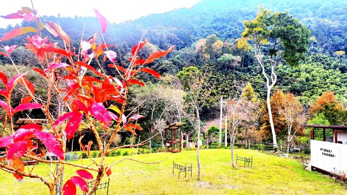 官網-新竹縣政府29日核發轄內首件農牧用地申請露營場設立登記案件，由位於露營產業熱區五峰鄉的「鹿林濤營地」奪得頭籌